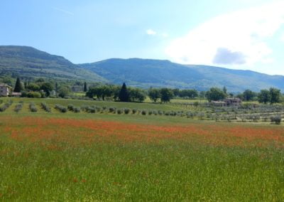 Retraite Assisi | Lotus Lifecoaching